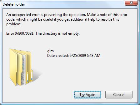 Microsoft Windows Vista Error 0x80070091